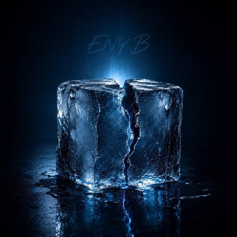 Portada de Bajo Cero — ENY B